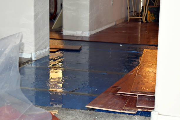 Professional Burst Pipe Cleanup technician working in Kingston, MA