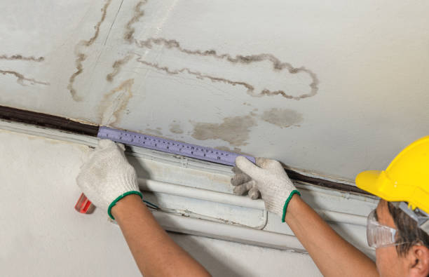 Reliable Burst Pipe Cleanup contractor in Kingston, MA by Local Water Damage Repair